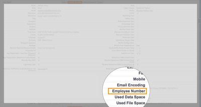 Results- Go to Payroll tab_5.png