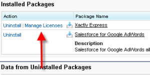 Salesforce Reporting on Currency Fields_7.png